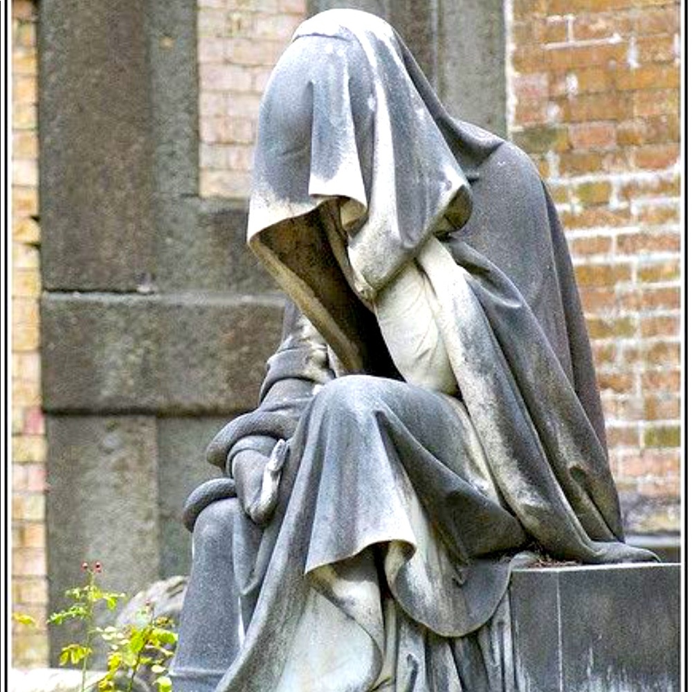 Meet your Posher, Xavier